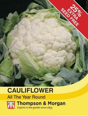 Cauliflower All The Year Round - image 2