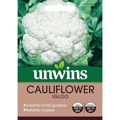 Cauliflower Igloo (75) - image 1