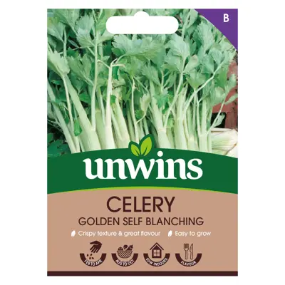 Celery Golden Self Blanching - Image courtesy of Unwins