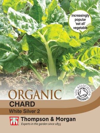 Chard “White Silver” 2 Organic - image 1