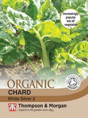Chard “White Silver” 2 Organic - image 1