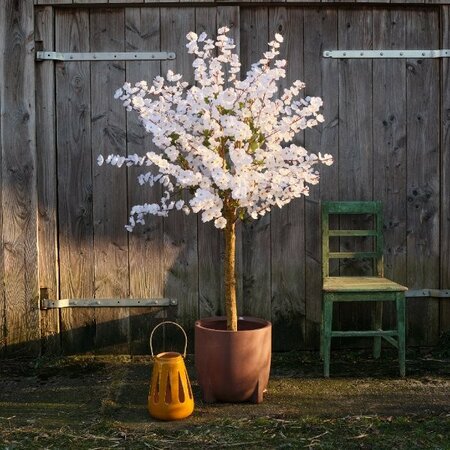 Cherry blossom on foot -Image courtesy of Kaemingk