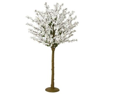 Cherry blossom on foot -Image courtesy of Kaemingk