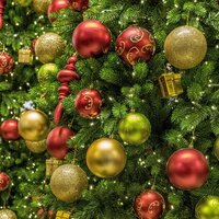 Christmas & Winter Savings!