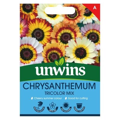 Chrysanthemum Tricolor Mix - Image courtesy of Unwins