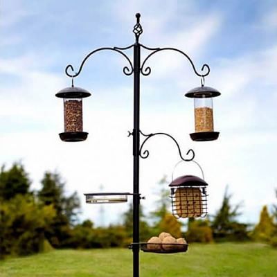 Classic Bird Station
