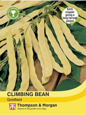 Climbing Bean Goldfield - image 1
