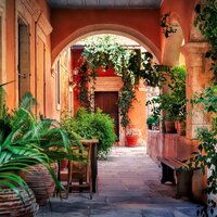 Mediterranean Garden Collection