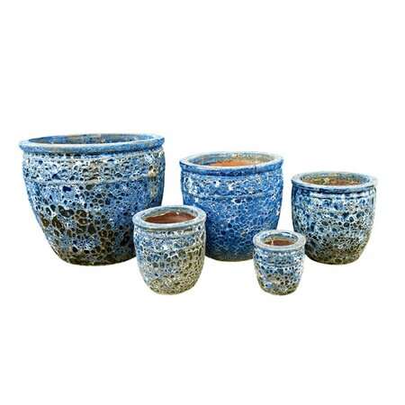 Coin Planter  (19cm dia.)