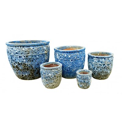 Coin Planter