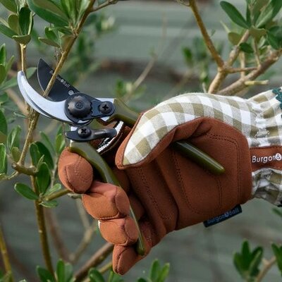 Collectors Range Micro Secateurs -Image courtesy of Burgon & Ball