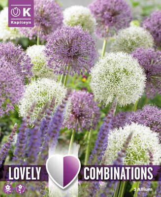 Combi Allium Giant Bulbs (3 bulbs)