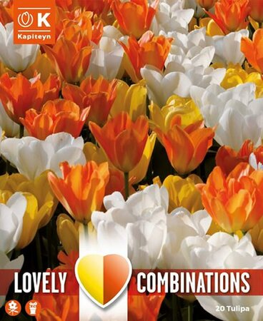 Combi Tulip White, Yellow, Orange (20 bulbs)