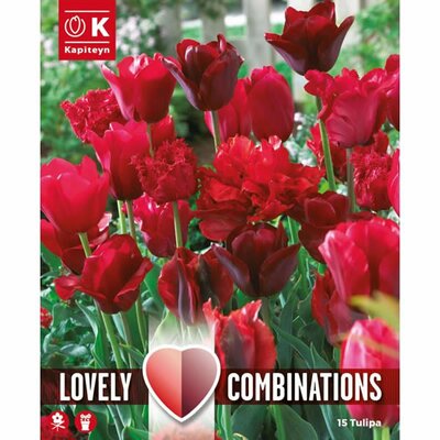 Combi Tulipa Red Shades (15 bulbs)