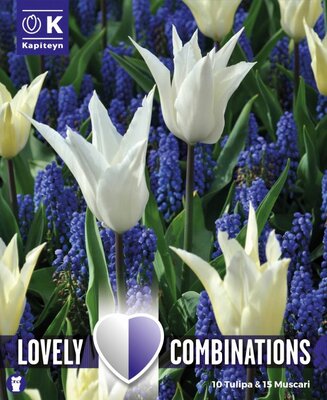 Combi Tulipa White & Muscari Blue (25 bulbs)