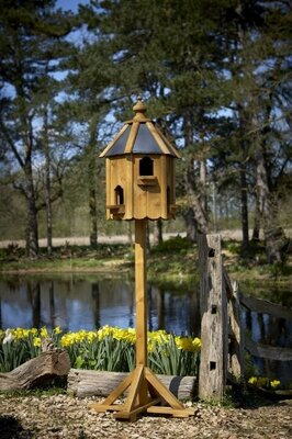 Compton Dovecote -Image courtesy of Tom Chambers