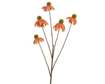 Coneflower on stem polyester