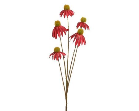 Coneflower polyester