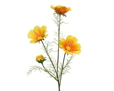 Coreopsis on stem - image 1
