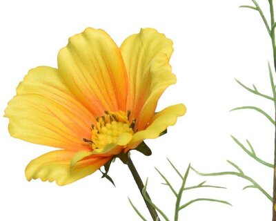Coreopsis on stem - image 2