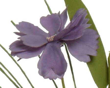 Cornflower on stem - image 2