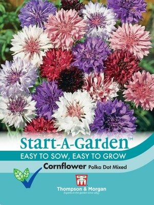 Cornflower Polka Dot Mixed - image 1