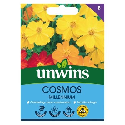 Cosmos Millennium - Image courtesy of Unwins