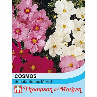 Cosmos 'Sonata' Mixed - Image courtesy of T&M