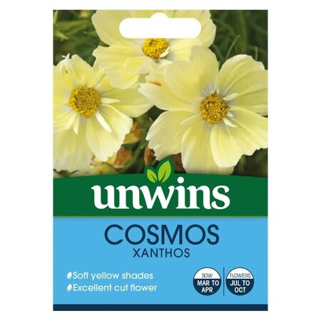 Cosmos Xanthos - Image courtesy of Unwins