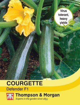 Courgette Defender F1 Hybrid - image 1