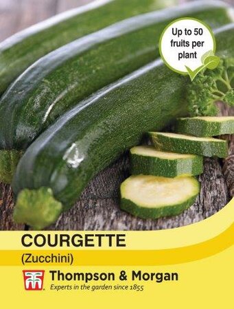 Courgette (Zucchini) - image 1