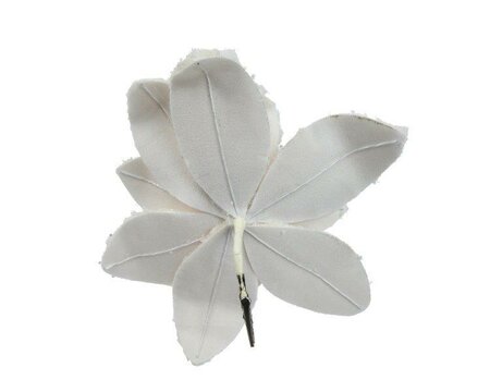 Image courtesy of Kaemingk