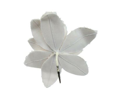 Image courtesy of Kaemingk