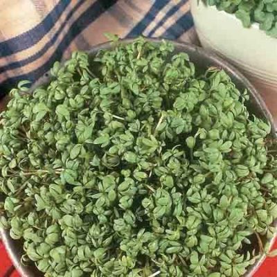 Cress Polycress