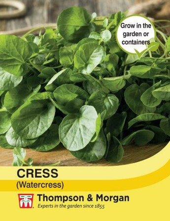 Cress (Watercress) - image 1