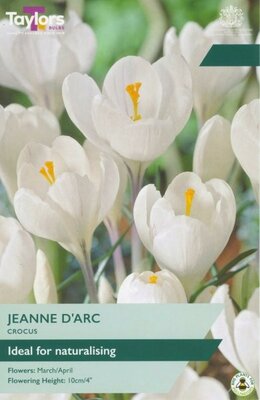 Crocus Jeanne D'Arc - Image courtesy of Taylor's Bulbs
