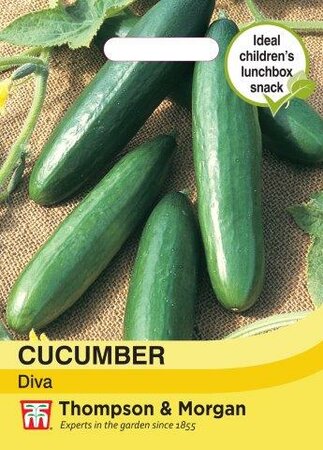 Cucumber Diva - image 1