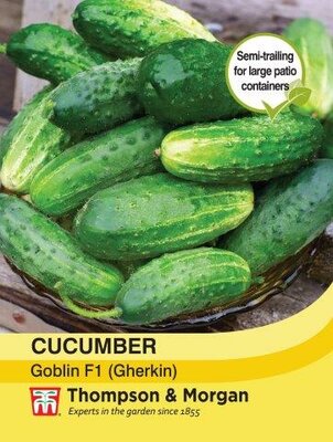 Cucumber “Goblin” F1 Hybrid - image 2