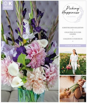 'Picking Happiness' Bulb Pack - Image courtesy of Kapiteyn