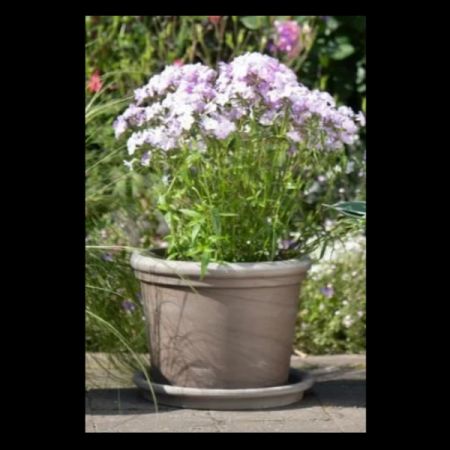 Clylinder & Lip Basalt (28cm dia.)