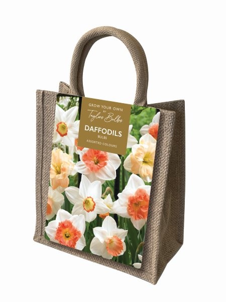 Daffodil Jute Gift Bag (12 bulbs)