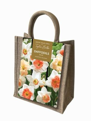 Daffodil Jute Gift Bag