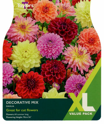 Dahlia Decorative Mix -Image courtesy of Taylors Bulbs
