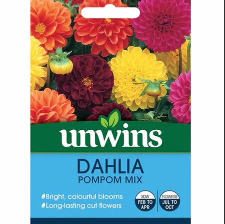 Dahlia Pompom Mix - Image courtesy of Marshalls