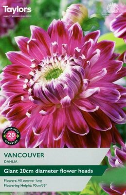 Image courtesy of Taylors Bulbs