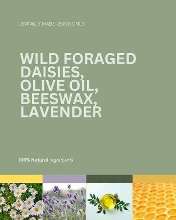 Daisy Balm Lavender -Image courtesy of Forager