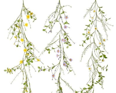 Daisy Garland