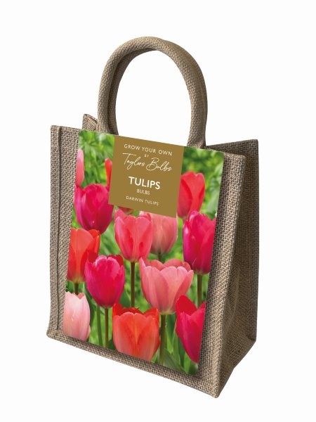Darwin Tulip Jute Gift Bag (20 bulbs)