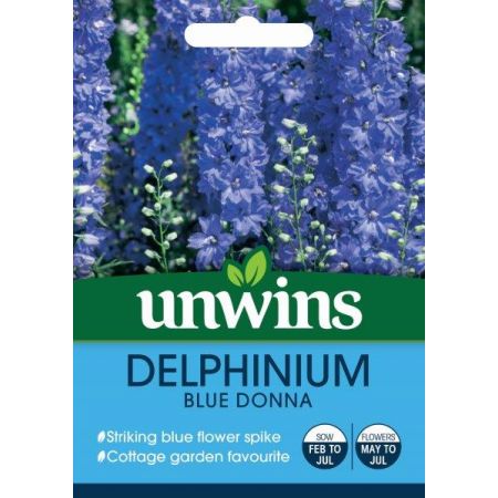Delphinium Blue Donna