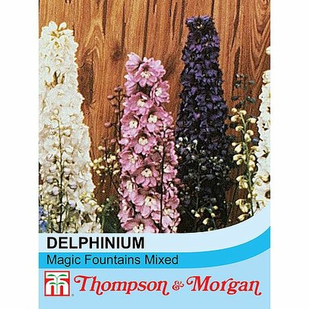 Delphinium 'Magic Fountains' - Image courtesy of T&M